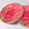 Indian Paintbrush Photo Sandstone Car Coasters, Sold as a pair, Wildflower Art