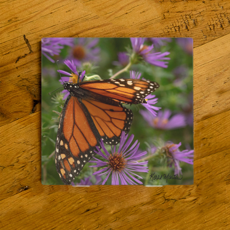Monarch Butterfly on Aster Ceramic Drink Coaster I | Butterfly Coaster | Monarch Art