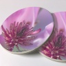 Saucer Magnolia Photo Sandstone Car Coasters, Sold as a pair, Floral Art