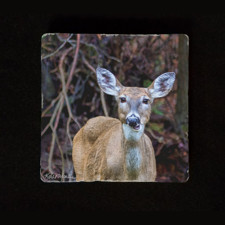 Deer Chewing  6"  Tumbled Stone Trivet