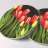 Tulips Photo Sandstone Car Coasters, Sold as a pair, Floral Art