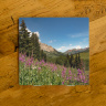 Colorado Mountains and Fireweed Ceramic Coaster | Colorado Drink Coaster | Colorado Home Decor