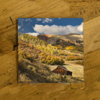 Colorado Old Cabin in the Fall Photo Ceramic Coaster