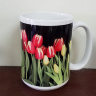 Red Yellow and White Tulips Photo Coffee Mug