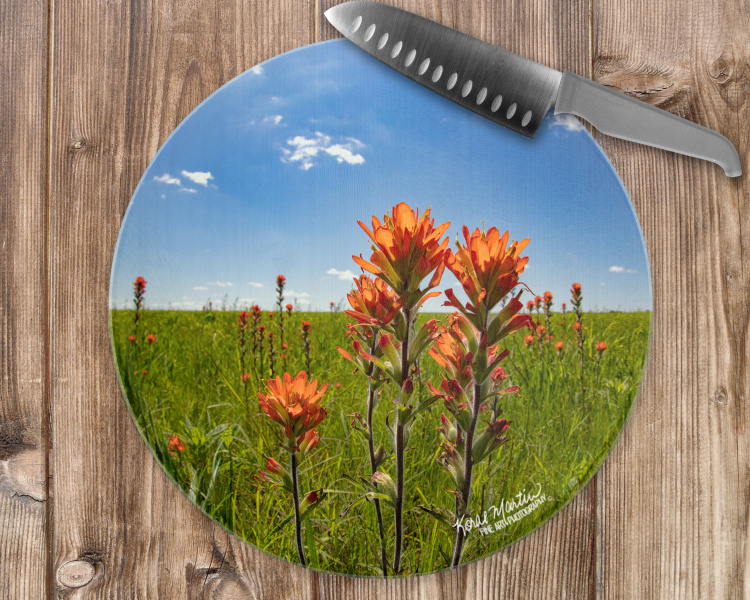 Indian Paintbrush Wildflower Round Glass Cutting Board, Decorative Cheese Board, Counter Protector (1)