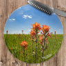 Indian Paintbrush Wildflower Round Glass Cutting Board, Decorative Cheese Board, Counter Protector (1)