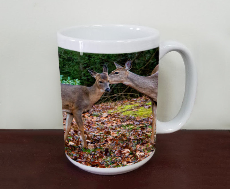Deer at Black Water Falls Wildlife Coffee Mug