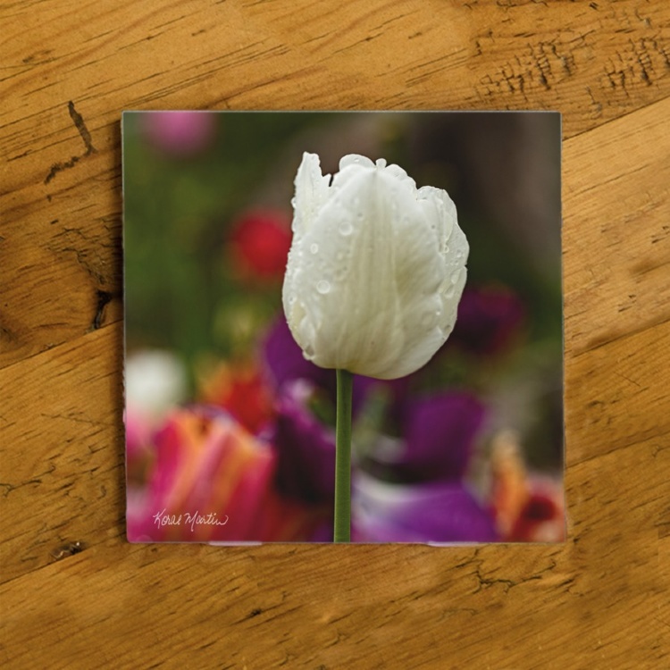 White Tulip With Raindrops Photo Ceramic Coaster