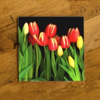 Tulips in a Row Photo Ceramic Drink Coaster
