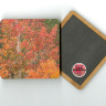 Fall Aspen Leaves II Photo 4"x4" Wood  Coaster Magnet on Back
