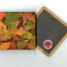 Fall Maple Leaves  Photo 4"x4" Wood  Coaster Magnet on Back