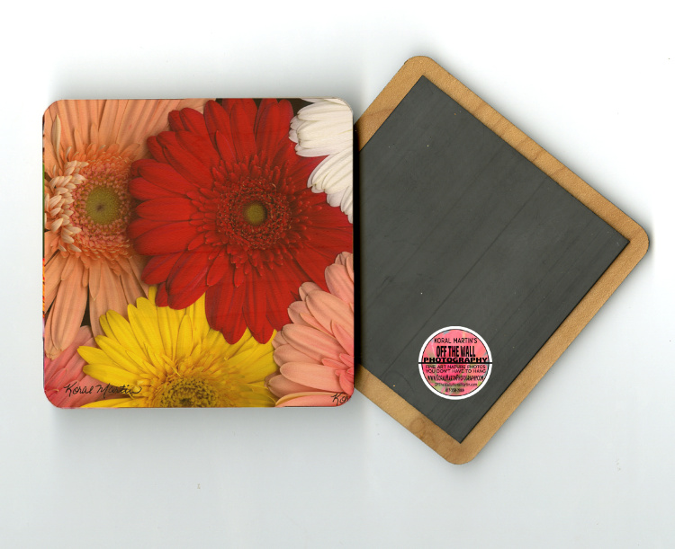 Gerber Daisies Photo 4"x4" Wood  Coaster with Magnet on Back, Refrigerator Magnet