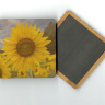 Yellow Sunflower Field Photo 4"x4" Wood  Coaster with Magnet on Back by Koral Martin