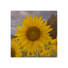 Yellow Sunflower Field Photo 4"x4" Wood  Coaster with Magnet on Back by Koral Martin