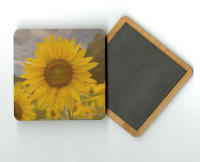 Yellow Sunflower Field Photo 4"x4" Wood  Coaster with Magnet on Back