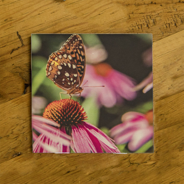 Butterfly on a Coneflower Photo Ceramic Coaster