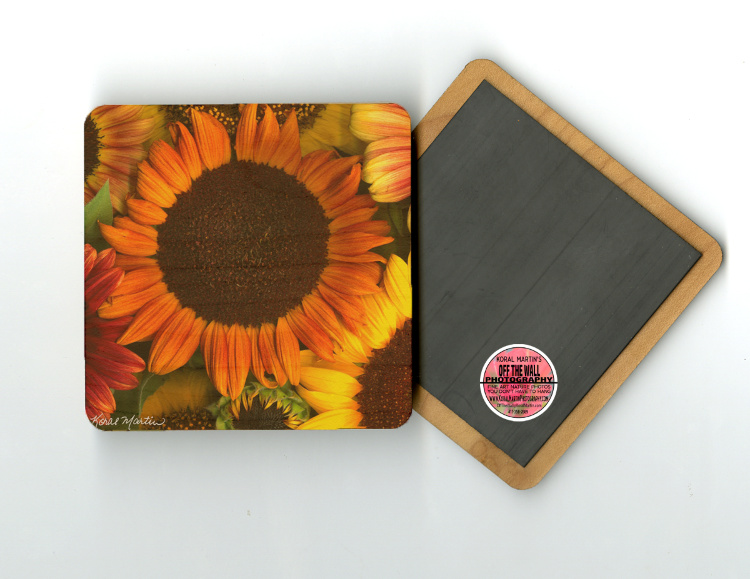 Colorful Sunflower Variety Photo  4"x4" Wood Coaster with magnet on back by Koral Martin