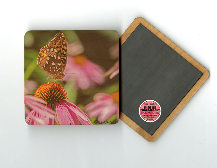 Butterfly on a Coneflower Photo 4"x4" Wood  Coaster with Magnet on Back