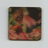 Butterfly on a Coneflower Photo 4"x4" Wood  Coaster with Magnet on Back