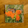 Monarch Butterfly on Milkweed Ceramic Drink Coaster | Butterfly Coaster | Monarch Art