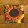 Fall Colored Sunflowers Ceramic Drink Coaster