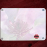 Saucer Magnolia Bloom Photo Tempered Glass Cutting Board