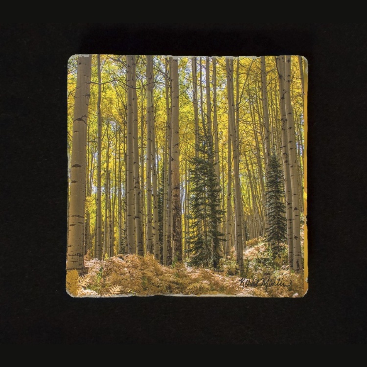Fall Aspen and Fern  in Colorado Tumbled Stone Drink Coaster