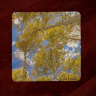 Aspen to the Sky 4x4 Wood Coaster with magnet