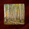 Aspen Grove 4x4 Wood Coaster with magnet