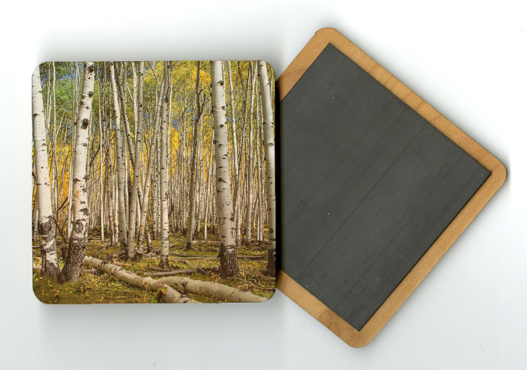 Aspen Grove 4x4 Wood Coaster with magnet