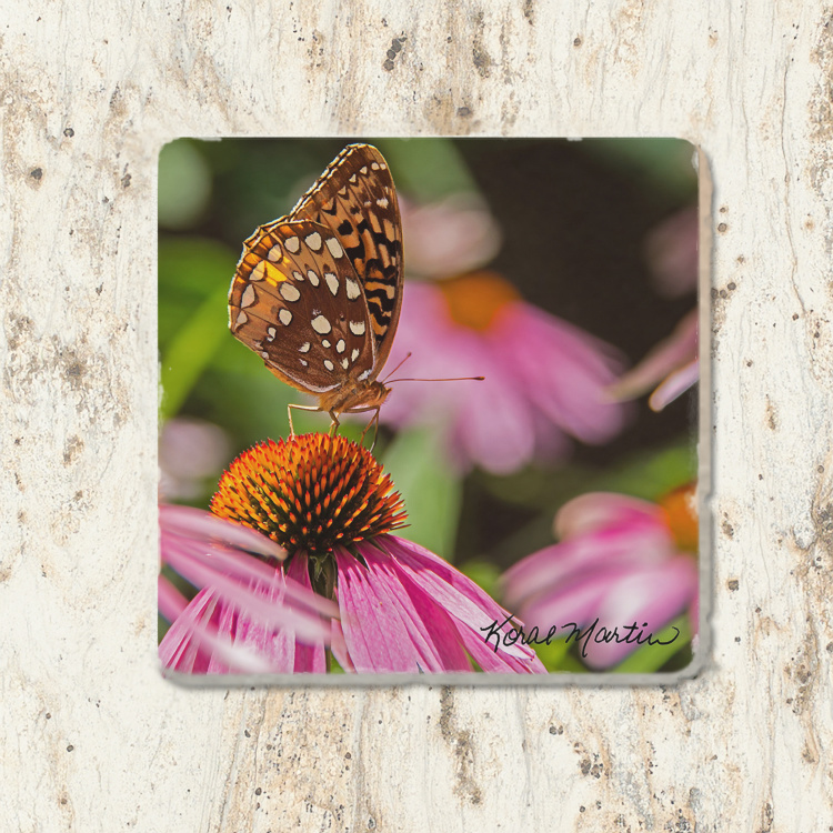 Butterfly on Coneflower Tumbled Stone Drink Coaster