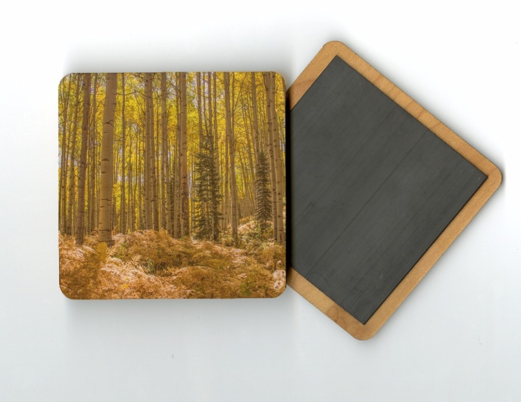 Aspen and Fern 4x4 Wood Coaster with magnet