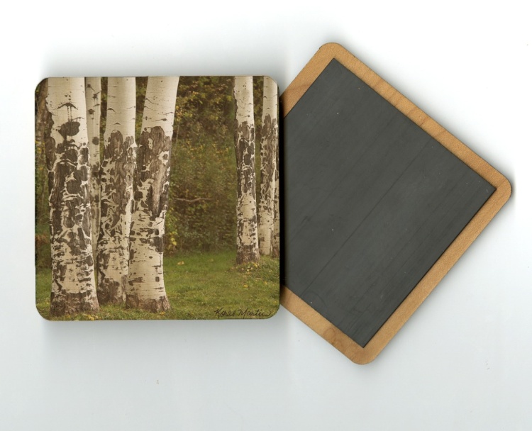 Aspen Tree Trunks 4x4 Wood Coaster with magnet