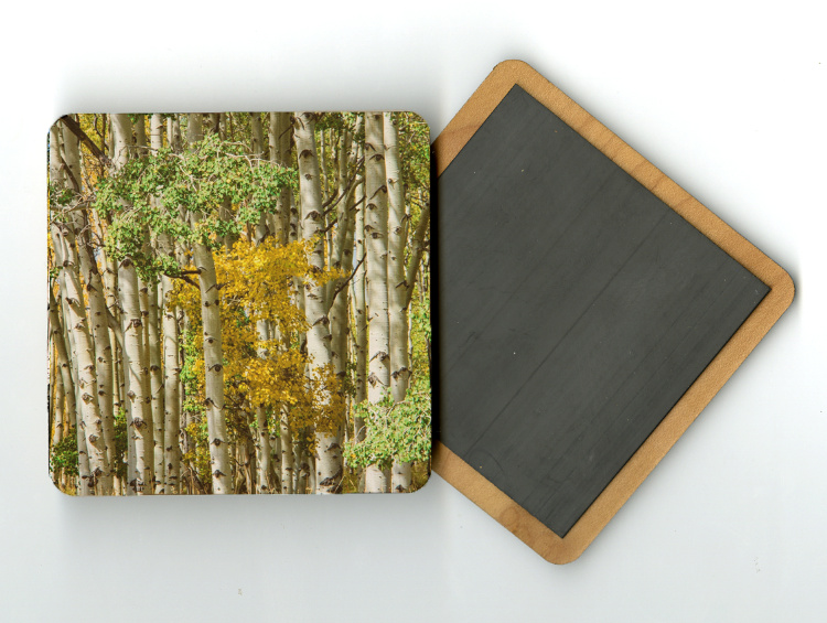 Aspen Grove II 4x4 Wood Coaster with magnet
