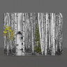 Colorado Aspen in Black and White with a touch of Color Photo Tempered Glass Cutting Board on Easel
