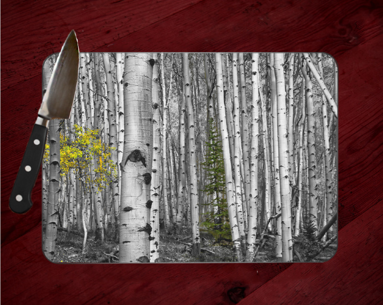 Colorado Aspen in Black and White with a touch of Color Glass Cutting Board 8x11 and 12x15 