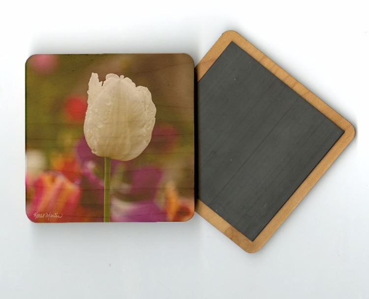 White Tulip 4x4 Wood Coaster with Magnet on Back