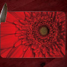 Red Gerbera Flower Fine Art Photo Tempered Glass Cutting Board 8x11 and 12x15