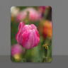 Pink Tulip with Rain Drops Photo Tempered Glass Cutting Board 8x11 and 12x15
