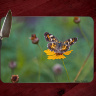 Butterfly on Coreopsis Glass Cutting Board 8x11 and 12x15 | Butterfly Art | Wildflowers | Counter Protector