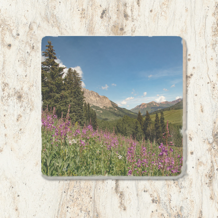 Colorado Mountain and Fireweed Tumbled Stone Coaster | Colorado Drink Coaster | Colorado Home Decore