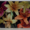 Tiger Lily  Fine Art Photo Tempered Glass Cutting Board 8x11 and 12x15
