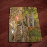 Old Covered Bridge Photo on Tempered Glass Cutting Board 8x11 and 12x15