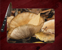 Mushrooms at Crystal Bridges Arkansas Photo on Tempered Glass Cutting Board 8x11 and 12x15