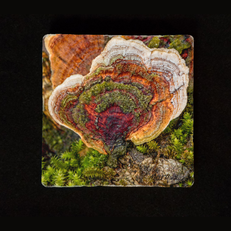 Colorful Moss and Tree Fungus Tumbled Stone Trivet 