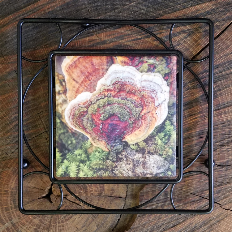 Colorful Moss and Tree Fungus Ceramic  Trivet  6x6 with Metal Trivet Holder