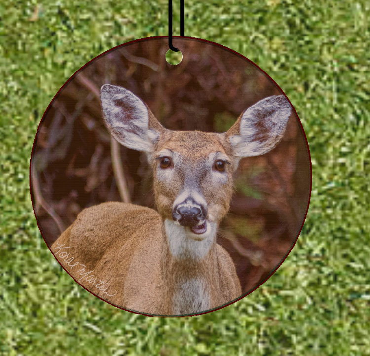 Deer Chewing Talking Round Wood Ornament With Photo by Koral Martin