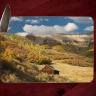 Colorado Cabin Cutting Board  Tempered Glass in 8x11 and 12x15 | Fall Aspen Board | Colorado Mountains Counter Protector