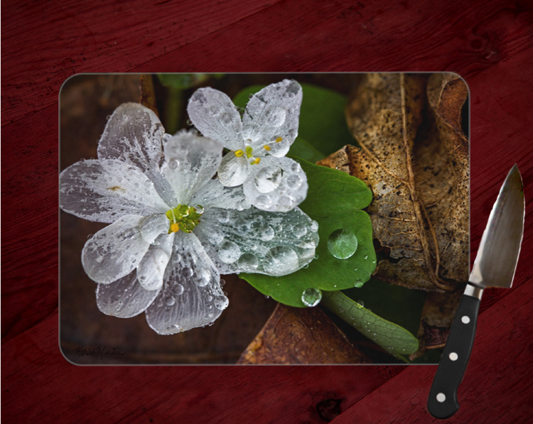 Rue Anemone with Transparent Petals Cutting Board made of Tempered Glass 8x11 and 12x15 