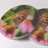 Butterfly and Coneflower Photo Sandstone Car Coasters, Sold as a pair, Floral Art